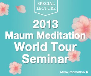 2013 Meditation World Tour Seminar
