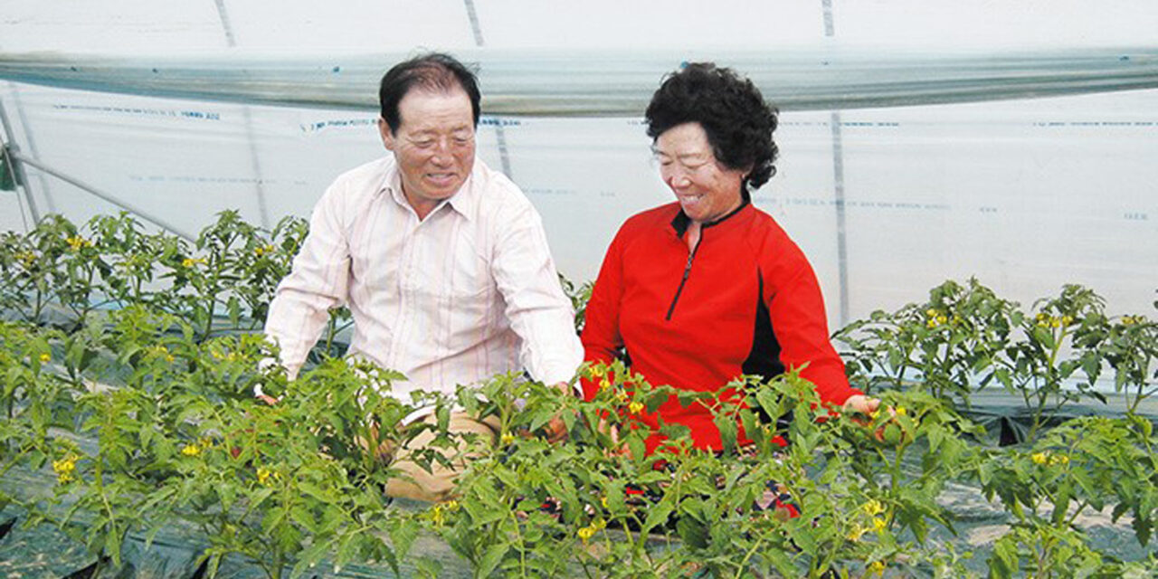 Even a Strong Gyeong-sang Province Man Respects His Wife